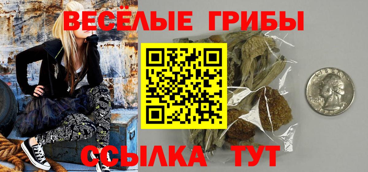 Богородск  Галлюциногенные грибы мухоморы  Псилоцибиновые грибы прущие грибы  Вход с VPN 