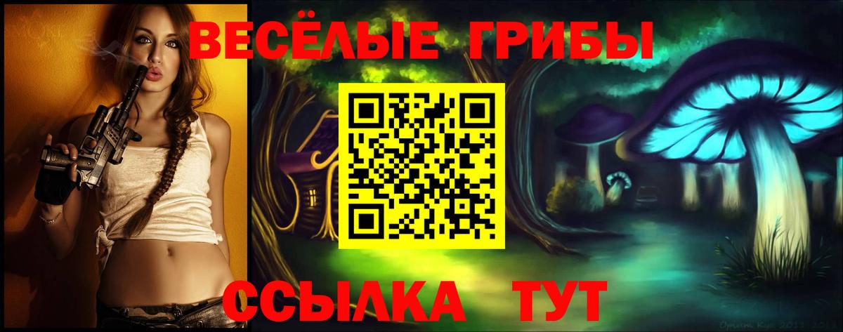 Псилоцибиновые грибы мицелий Богородск